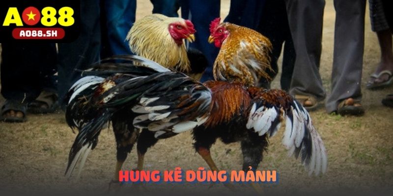 Các chiến kê dũng mãnh đang cống hiến những pha bay người tranh hùng đỉnh cao.