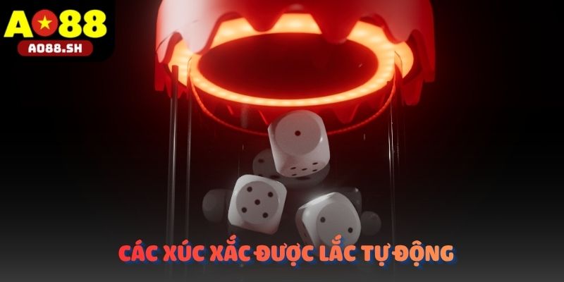 Các viên xúc xắc đang được lắc tự động dưới sự quan sát của hội viên.