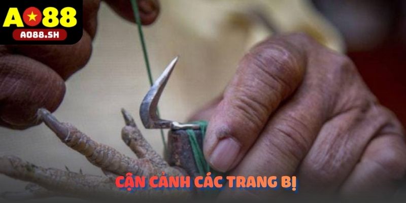 Cận cảnh trang bị lưỡi dao sắc bén chuẩn bị ra sân tại đấu trường Đá gà cựa dao.