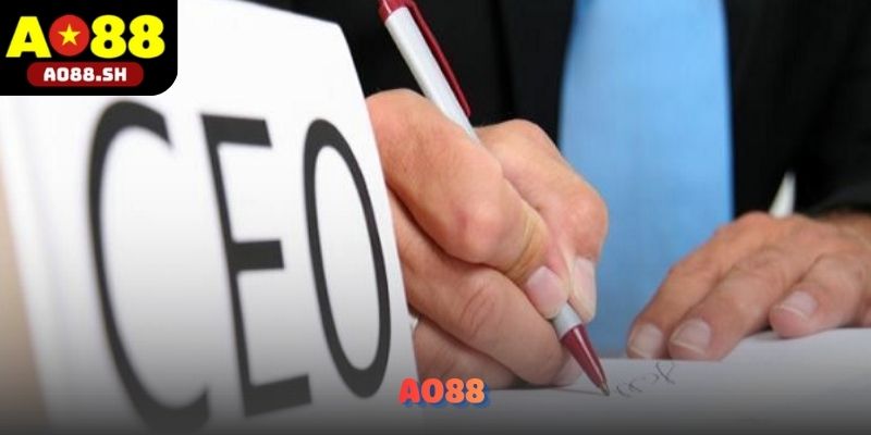 Đội ngũ AO88 dưới sự điều hành của CEO Trần Kim Liên.