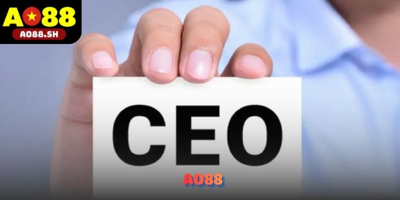Hình ảnh CEO Trần Kim Liên trong hoạt động của AO88.