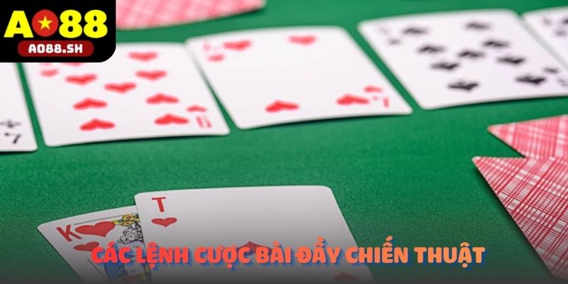 Hội viên đang hào hứng đưa ra các lệnh cược bài đầy chiến thuật.
