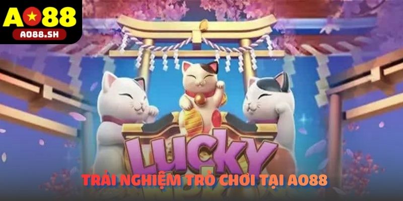 Người dùng trải nghiệm Neko may mắn trên nhiều thiết bị.