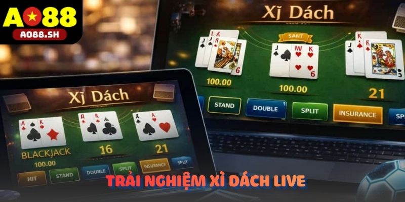 Người dùng trải nghiệm Xì dách Live trên nhiều thiết bị.