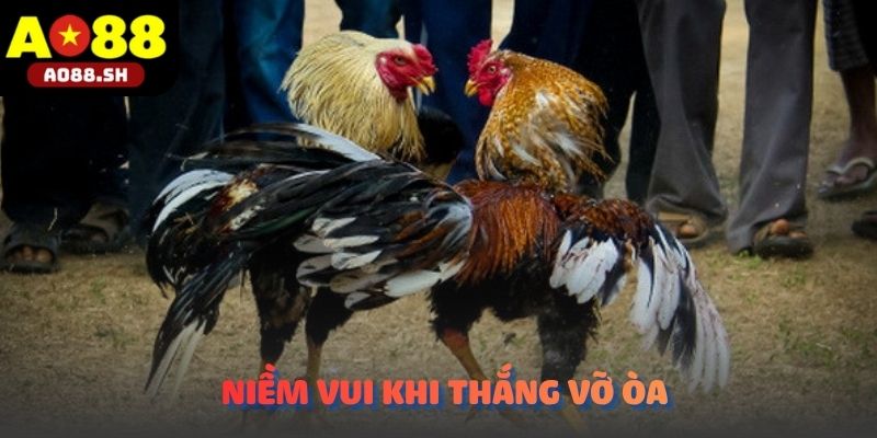 Niềm vui chiến thắng vỡ òa khi đầu tư chính xác vào siêu phẩm WS 168.